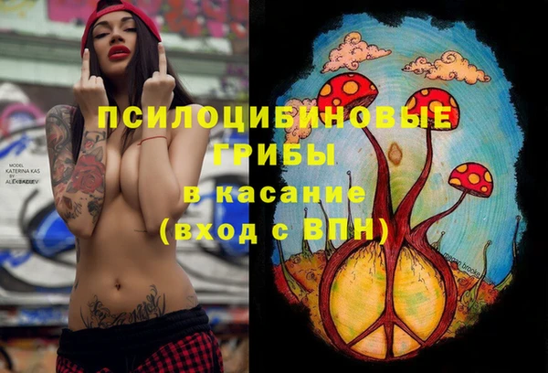 круглые Армянск