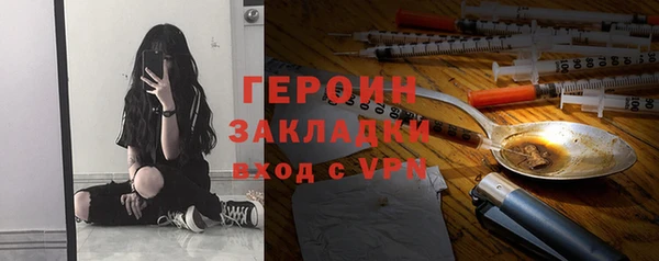 гидра Арсеньев