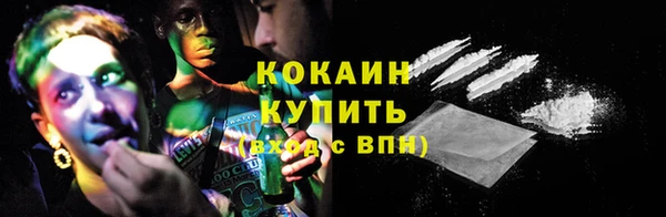 гидра Арсеньев