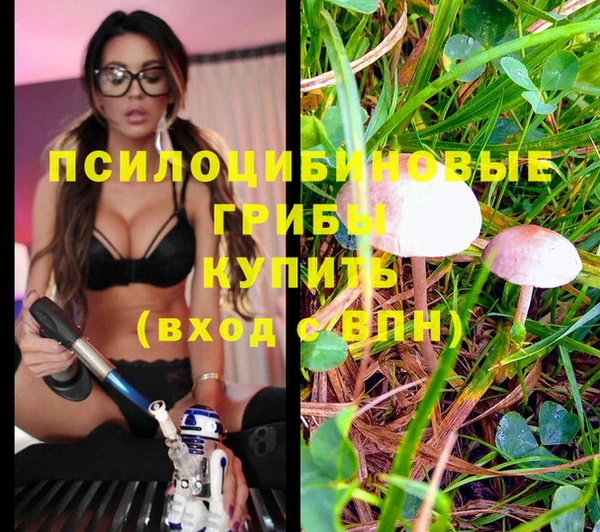 круглые Армянск