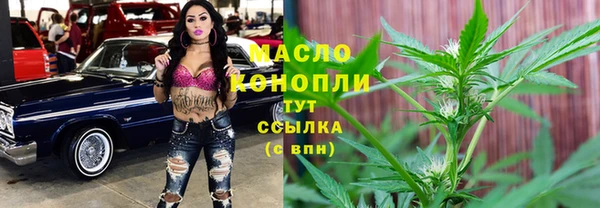 гидра Арсеньев