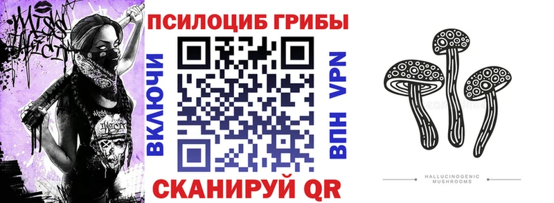 Галлюциногенные грибы Psilocybine cubensis Сарапул